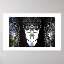 Verdrehte Zweige Yosemite Reflexionsfotografie Poster