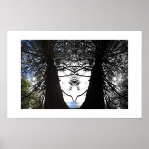 Verdrehte Zweige Yosemite Reflexionsfotografie Poster