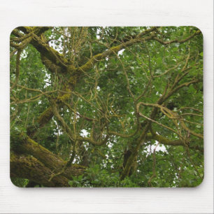 Verdrehter Baum Mousepad