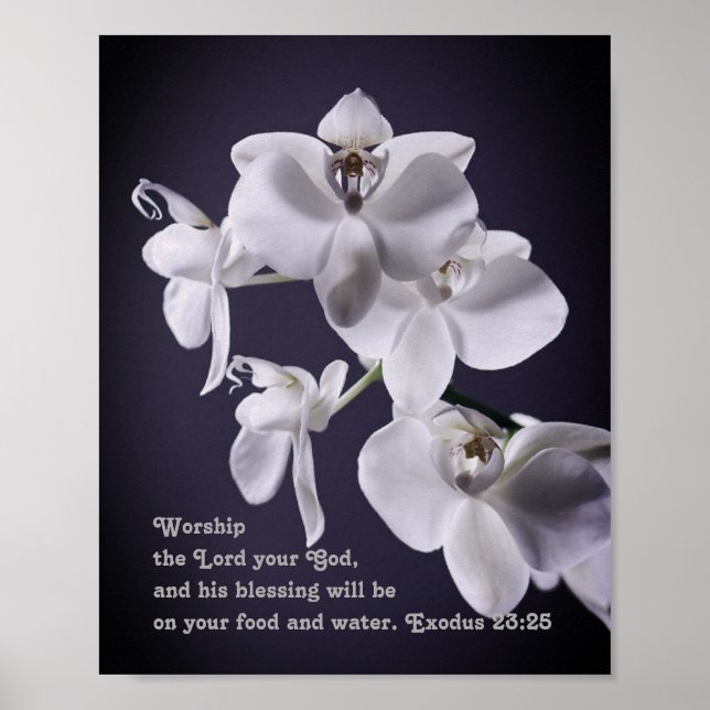 "Verehre den Herrn, deinen Gott" Exodus 23:25 Prop Poster (Vorne)