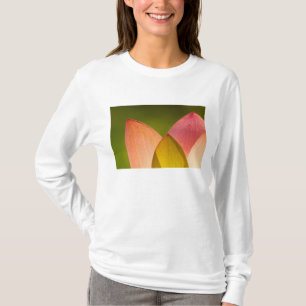 Vereinigte Staaten, DC, Washington, Kenilworth 3 T-Shirt