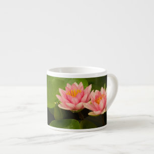 Vereinigte Staaten, DC, Washington, Kenilworth 4 Espressotasse