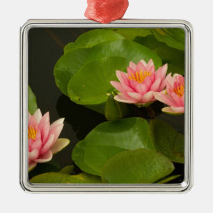 Vereinigte Staaten, DC, Washington, Kenilworth 4 Ornament Aus Metall