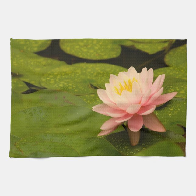 Vereinigte Staaten, Maryland, Westminster, Gewerks Geschirrtuch (Horizontal)