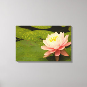 Vereinigte Staaten, Maryland, Westminster, Gewerks Leinwanddruck