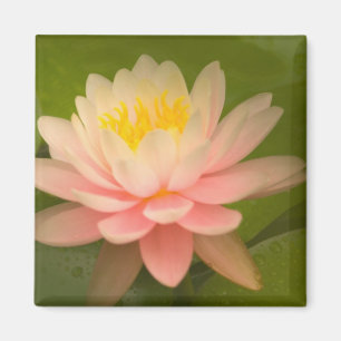 Vereinigte Staaten, Maryland, Westminster, Gewerks Magnet