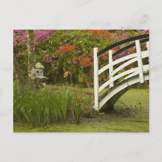 Vereinigte Staaten South Carolina Charleston;2 Postkarte (Vorderseite)