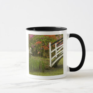 Vereinigte Staaten; South Carolina; Charleston; 2 Tasse