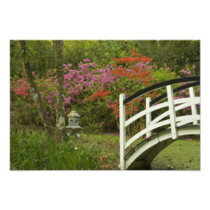 Vereinigte Staaten South Carolina Charleston; 5 Fotodruck