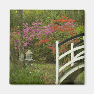 Vereinigte Staaten South Carolina Charleston;5 Magnet