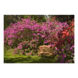 Vereinigte Staaten South Carolina Charleston; Fotodruck