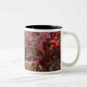 Vereinigte Staaten South Carolina Charleston; Zweifarbige Tasse