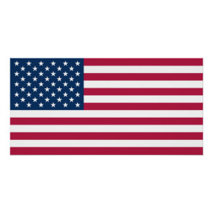 Vereinigte Staaten von Amerika USA-Flagge Patrioti Poster