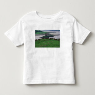 Vereinigtes Königreich, Schottland, Isle of Skye, Kleinkind T-shirt