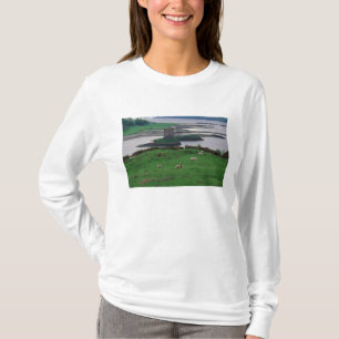 Vereinigtes Königreich, Schottland, Isle of Skye, T-Shirt