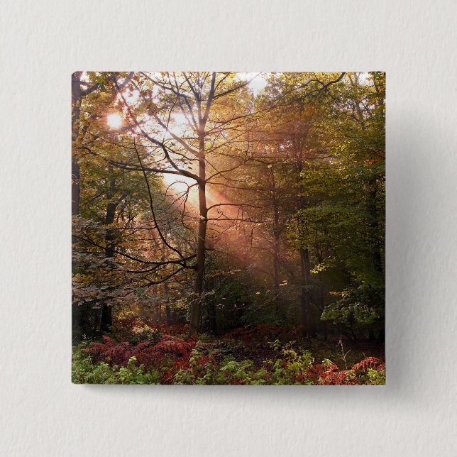 Vereinigtes Königreich Wald von Dean. Sonnenlicht  Button (Vorderseite)
