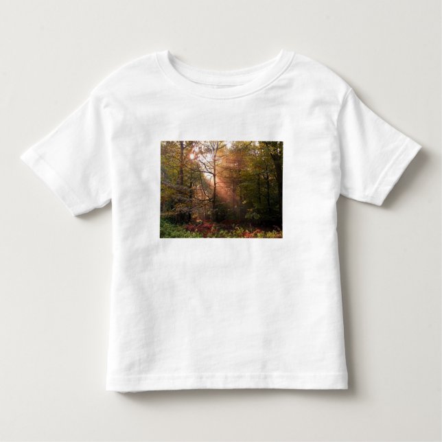 Vereinigtes Königreich Wald von Dean. Sonnenlicht  Kleinkind T-shirt (Vorderseite)