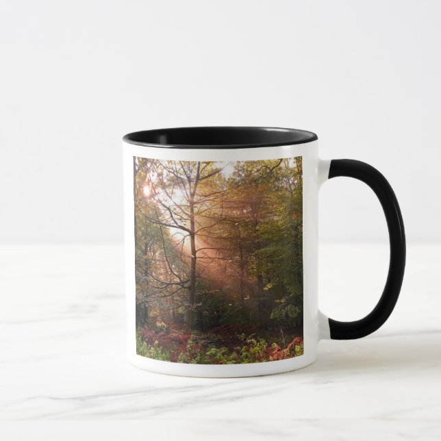 Vereinigtes Königreich Wald von Dean. Sonnenlicht  Tasse (Rechts)