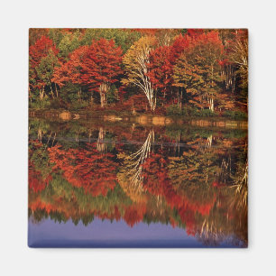 Vereinte Staaten, Michigan, Oberhalbinsel. Fall Magnet