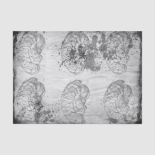 Verfallenes Brainz Seidenpapier 10" x 15"