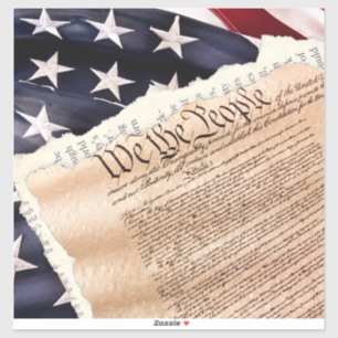 Verfassung Vinyl Sticker