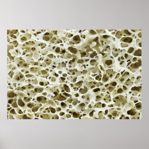 Verfeinerte Porous Textur aus dem Angesagten Knoch Poster