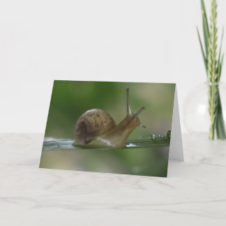 Verflixt! Wieder zu spät. Karte