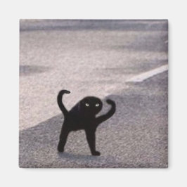 Verfluchte Katzen-Meme Magnet