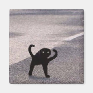 Verfluchte Katzen-Meme Magnet