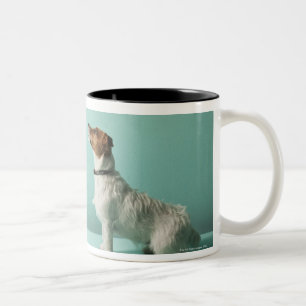 verfolgen Sie oben schauen in Raum Zweifarbige Tasse