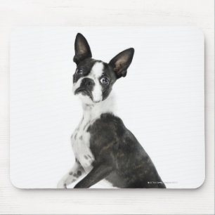 verfolgen Sie stehendes auf 2 Beinen, die Kamera Mousepad