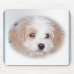 Verfolgung Cavachon Mousepad