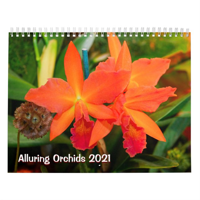 Verführerische Orchideen 2021 Kalender (Titelbild)
