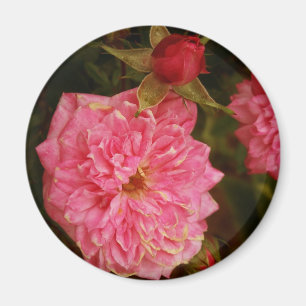 Vergangenheit Magnet