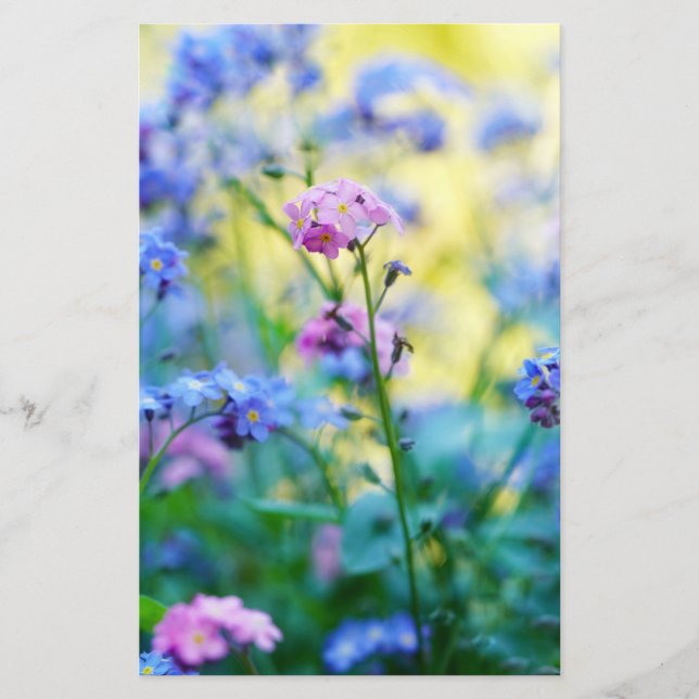 Vergessen-Ich-Nicht-Blume Briefpapier (Vorderseite)