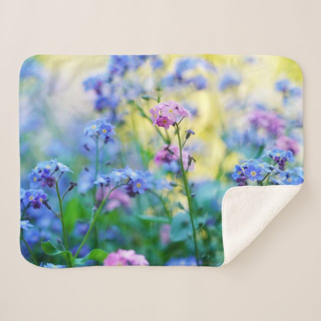 Vergessen-Ich-Nicht-Blume Sherpadecke (Vorderseite (Horizontal))