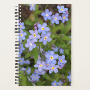 Vergessen-Me-Nicht-Blume-Planer Planer