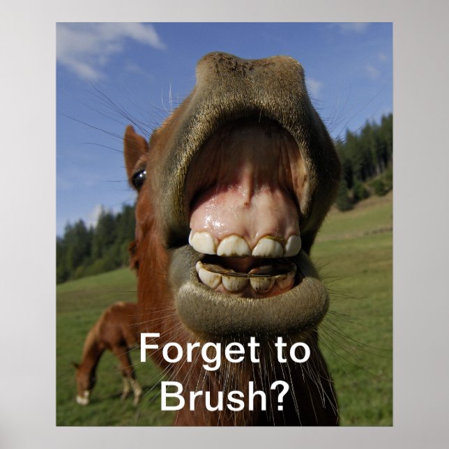 Vergessen Sie, Brush zu machen? Poster (Vorne)
