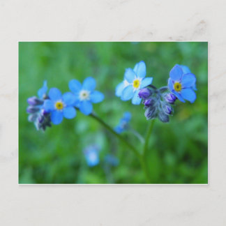 Vergessen Sie die Blues nicht Postkarte