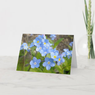 Vergessen Sie mir keine Karte