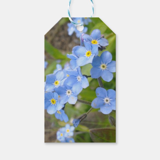 Vergessen Sie mir nicht das Geschenk Tag Geschenkanhänger (Vorderseite)