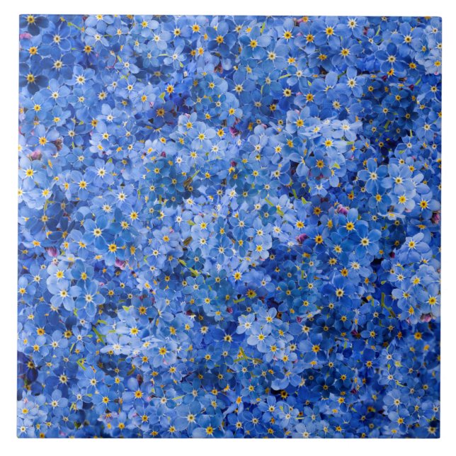 Vergessen Sie mir nicht das Muster der Blume Fliese (Vorderseite)