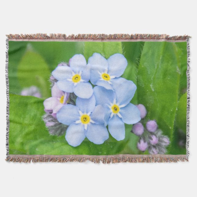 Vergessen Sie nicht Decke (Vorderseite)