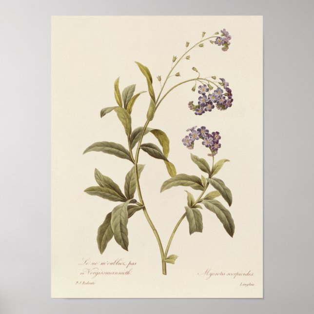 Vergessen Sie nicht Poster (Vorne)