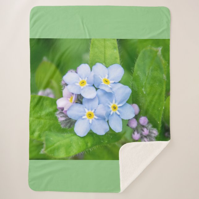 Vergessen Sie nicht Sherpadecke (Vorderseite)