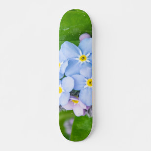 Vergessen Sie nicht, Skateboard