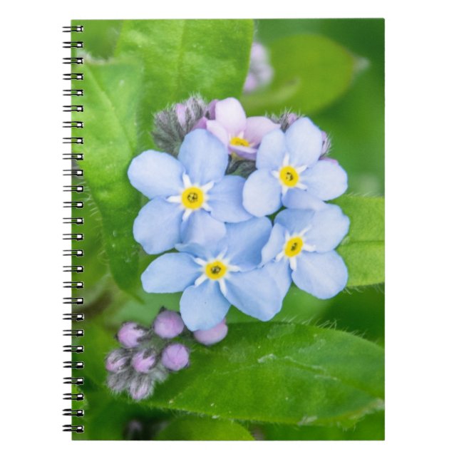 Vergessen Sie nicht, Spiral Foto Notebook Notizblock (Vorderseite)