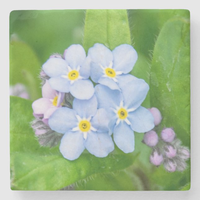 Vergessen Sie nicht, Stone Untersetzer (Vorderseite)