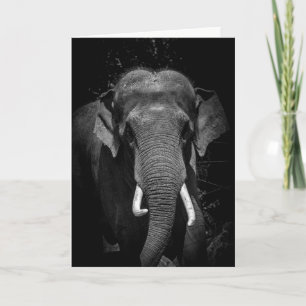 Vergessen Sie nie einen Geburtstag Karte