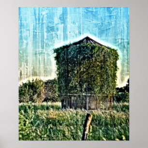 Vergessen und überwuchert poster